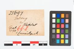 Etikett zu Glasmandelperle (NHMW-PRAE-025697)